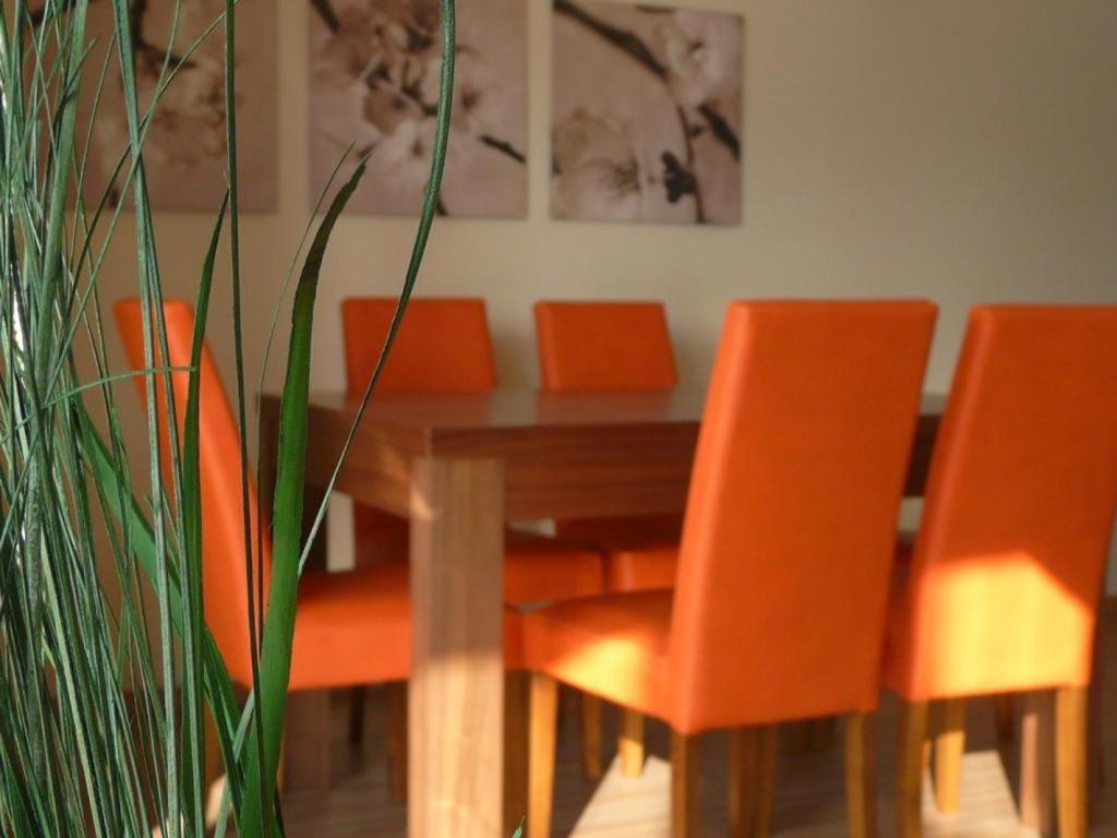 Apartamenty Wislany Brzeg 우스트론 외부 사진